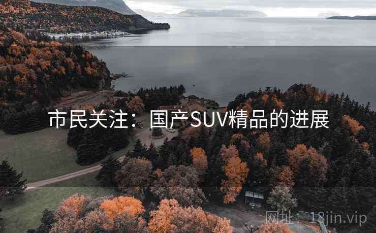 市民关注：国产SUV精品的进展