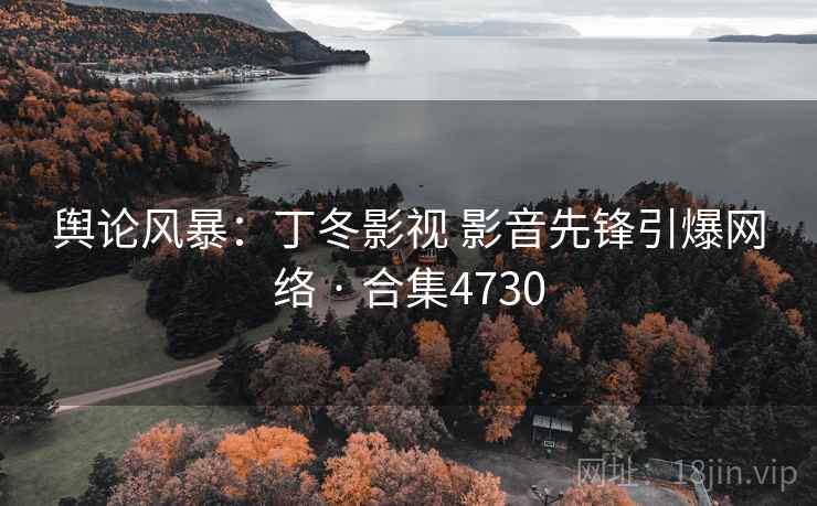 舆论风暴：丁冬影视 影音先锋引爆网络 · 合集4730